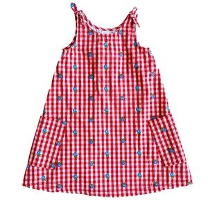 Hanna Andersson Red gingham picnic dress with embroidered blue flowers